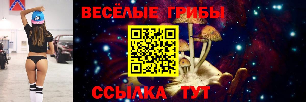 Псилоцибиновые грибы MAGIC MUSHROOMS Ачхой-Мартан